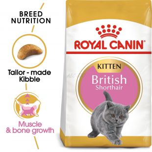 Hrană Uscată Pisică Royal Canin FBN British Shorthair Kitten 400 g